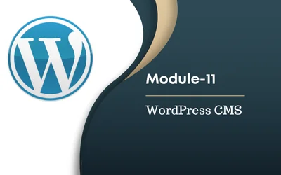 WordPress CMS